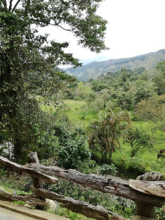 Ecorefugio Las Mirlas سالنتو المظهر الخارجي الصورة