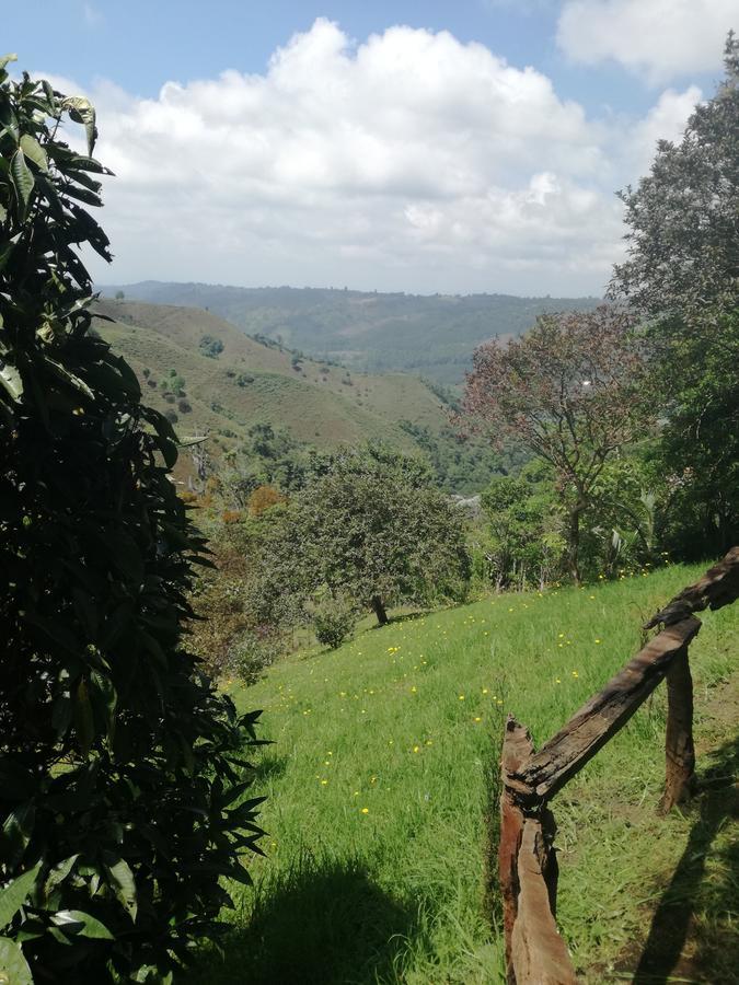 Ecorefugio Las Mirlas سالنتو المظهر الخارجي الصورة
