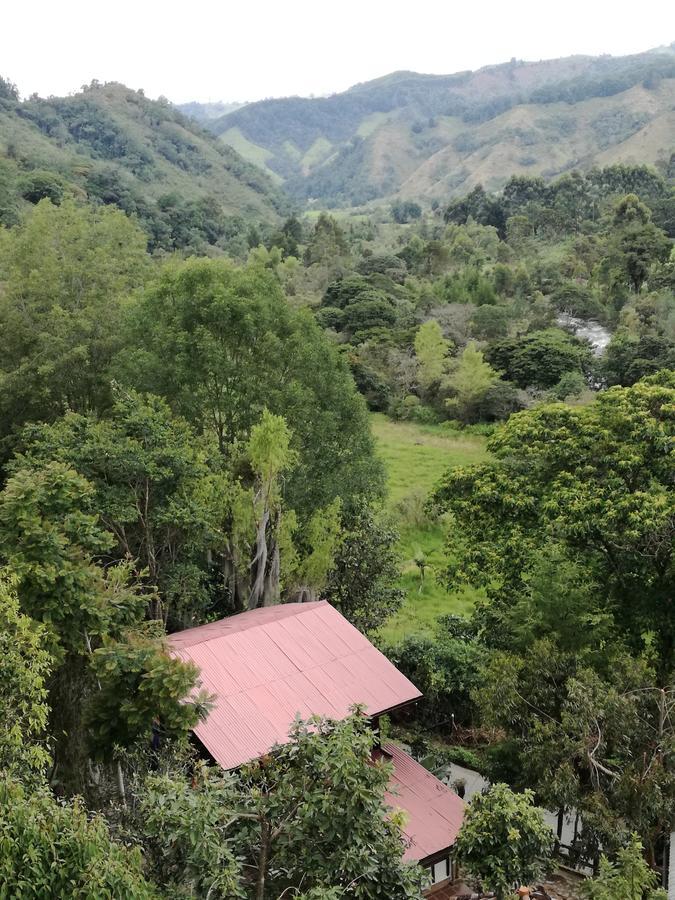 Ecorefugio Las Mirlas سالنتو المظهر الخارجي الصورة