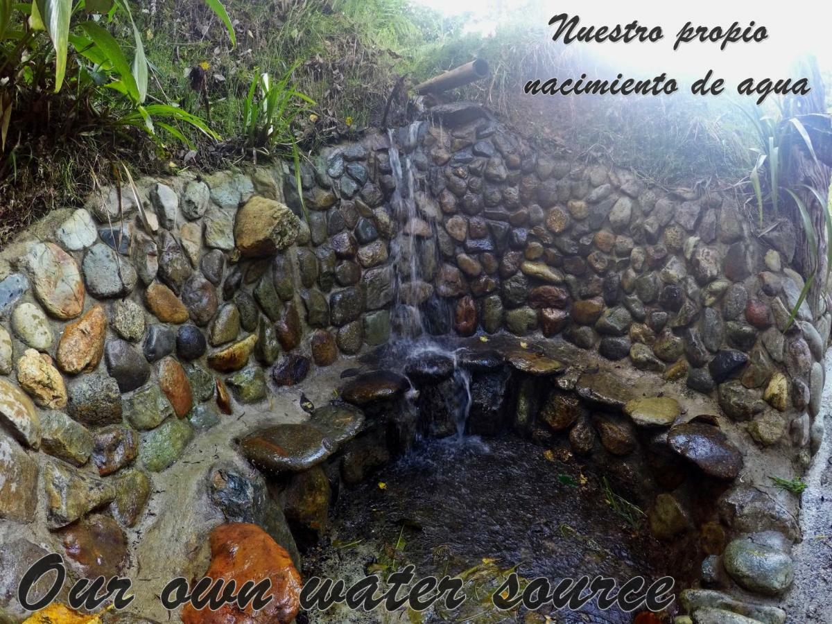 Ecorefugio Las Mirlas سالنتو المظهر الخارجي الصورة