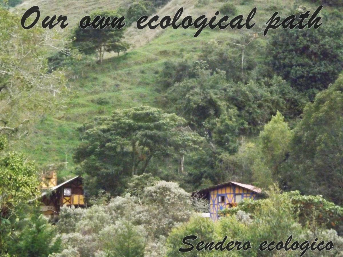 Ecorefugio Las Mirlas سالنتو المظهر الخارجي الصورة